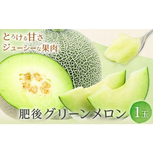 ふるさと納税 メロン メロン青肉 熊本県 氷川町 肥後グリーンメロン 1玉 熊本 株式会社エフビーネット[4月上旬-7月上旬頃出荷]熊本県 氷川町 果物 フルーツ …