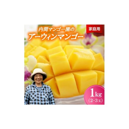 ふるさと納税 マンゴー 沖縄県 今帰仁村 2026年7月から順次発送・家庭用 内間マンゴー園のアーウィンマンゴー1kg(2〜3玉) 1695323