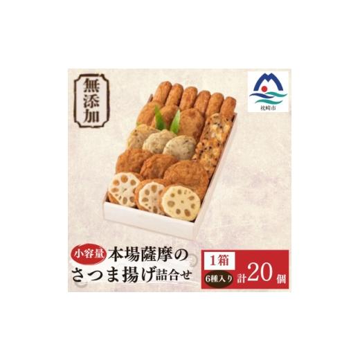 ふるさと納税 かまぼこ・練り製品 鹿児島県 枕崎市 無添加 甘さ控えめ 本場薩摩のこだわりさつま揚げ詰合せ 小容量 Z0-65 1738075