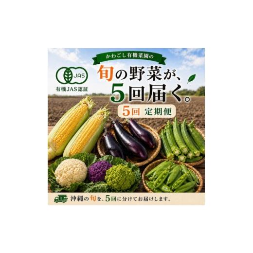 ふるさと納税 とうもろこし 沖縄県 西原町 発送月固定定期便 旬の沖縄野菜(とうもろこし・ナス・オクラ・カリフローレ・スナップエンドウ)全5回 4086627