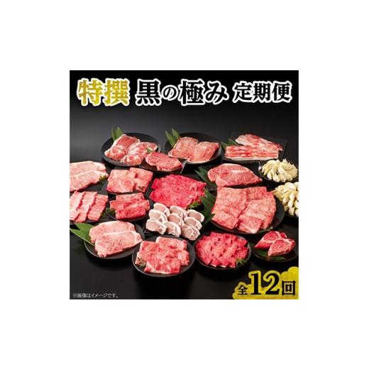 ふるさと納税 牛肉 ステーキ 鹿児島県 南九州市 発送月固定定期便 特選 黒の極み定期便全12回 4014770
