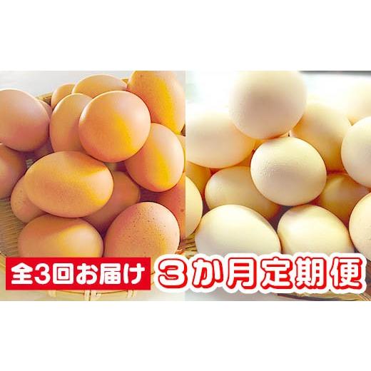 ふるさと納税 卵(鶏、烏骨鶏等) 山梨県 富士川町 3か月定期便 ひまわりたまご紅白セット 月1回(全3回)3か月セット 破卵補償 卵 鶏卵 玉子 大容量 お…