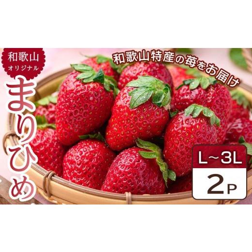 ふるさと納税 いちご 和歌山県 那智勝浦町 先行予約 和歌山県 オリジナル まりひめ イチゴ 2パック入り(3L〜L寸)