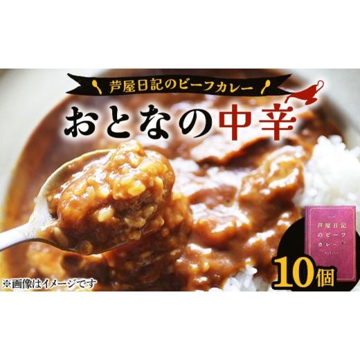 ふるさと納税 加工品等 レトルト 兵庫県 芦屋市 芦屋日記のビーフカレー 大人の中辛 10個 BAR芦屋日記 |ビーフカレー レトルト カレー 中辛 10食 常温保存 芦…