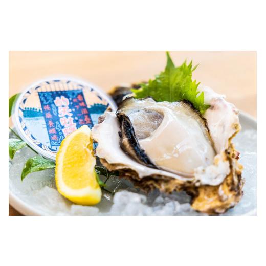 ふるさと納税 牡蠣 生牡蠣 三重県 志摩市 ふるさと納税 期間限定 新鮮 天然 岩カキ S170g前後 10個 (生食用) [志摩市] 牡蠣 カキ かき 岩牡蠣 貝 魚貝 海…