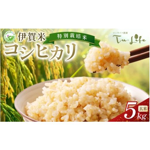 ふるさと納税 米 コシヒカリ 三重県 伊賀市 特別栽培米・伊賀米コシヒカリ 5kg[玄米] tuli0005A