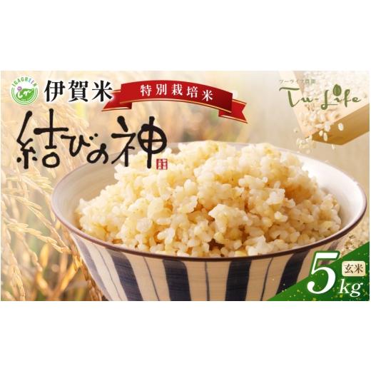 ふるさと納税 米 三重県 伊賀市 特別栽培米・伊賀米結びの神 5kg [玄米] tuli0007A