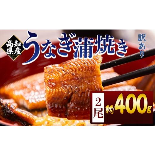 ふるさと納税 うなぎ 高知県 香南市 訳あり [ 数量限定 ]うなぎ 国産 蒲焼 計400g 2尾 真空パック タレ 付き 冷凍 フジ物産株式会社高知支店 高知県 香南…