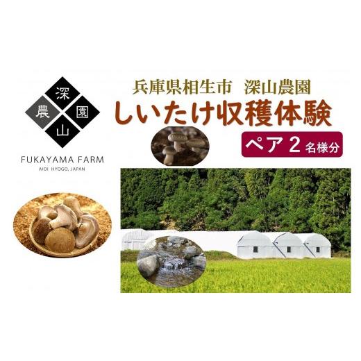 ふるさと納税 体験チケット 兵庫県 相生市 兵庫県相生市 深山農園の 「収穫体験ペアチケット」