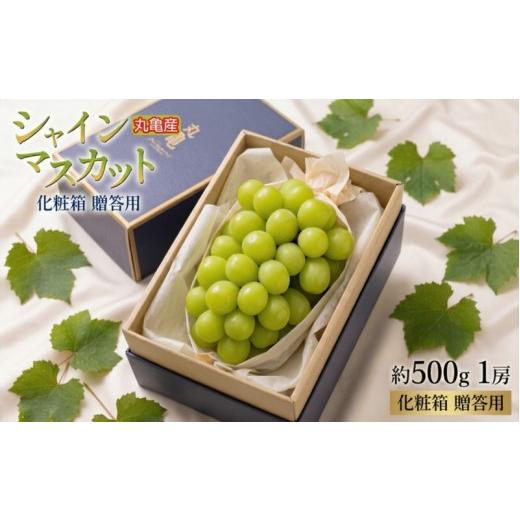ふるさと納税 ぶどう マスカット 香川県 丸亀市 先行予約 パリッと甘い シャインマスカット 約500g 1房 化粧箱 贈答用 冷蔵 マスカット ぶどう 葡萄 ブドウ …