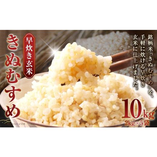 ふるさと納税 米 きぬむすめ 岡山県 倉敷市 令和7年産 岡山県産 きぬむすめ 早炊き 玄米 10kg ( 2kg × 5袋 ) 栄養 時短 炊飯器 洗米不要 食味 お米 米 こ…