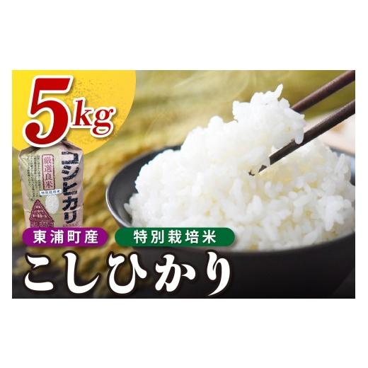 ふるさと納税 米 コシヒカリ 愛知県 東浦町 東浦町産 こしひかり 約5kg│米 お米 コメ 白米 精米 新米 産地直送 愛知県産 鈴木農産 愛知県 東浦町 5kg×1袋 …