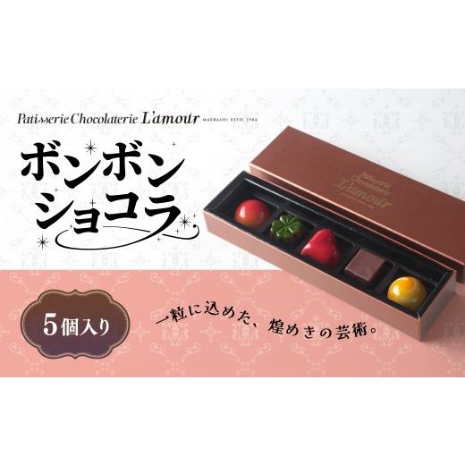 ふるさと納税 菓子 チョコレート 群馬県 前橋市 チョコ ボンボンショコラ 5個入り | ショコラ ボンボン チョコレート 詰め合わせ ギフト プレゼント お土産 お…