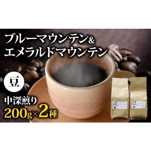 ふるさと納税 コーヒー コーヒー豆 静岡県 藤枝市 2026年6月18日〜6月21日にお届け 父の日 の プレゼント に コーヒー豆 400g ブルーマウンテン エメラルドマ…
