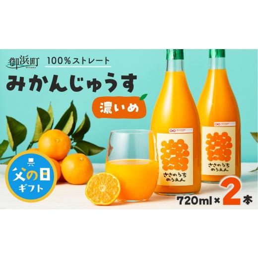 ふるさと納税 果汁飲料 みかん 三重県 御浜町 父の日ギフトに[ 6月19〜21日にお届けします ] ささのうち農園の みかんじゅうす「濃いめ」2本セット 100%ス…