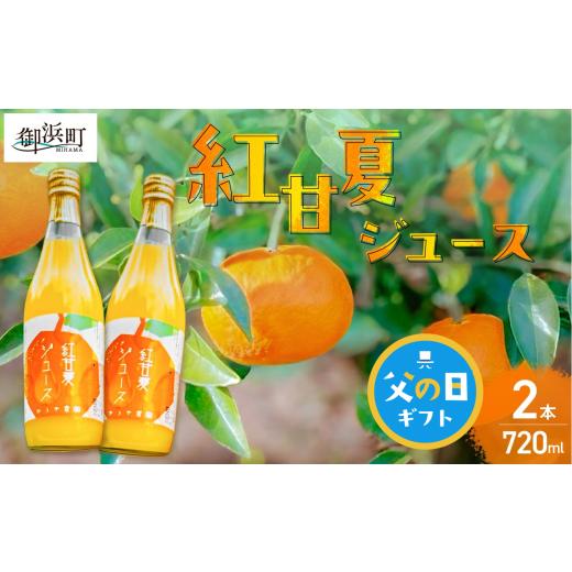 ふるさと納税 果汁飲料 みかん 三重県 御浜町 父の日ギフトに[ 6月19〜21日にお届けします ] ゆうや農園の紅甘夏ジュース 720ml×2本 数量限定 みかん 果物…