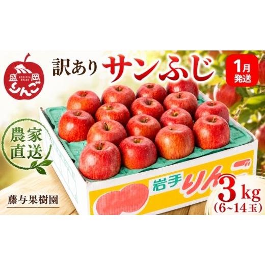 ふるさと納税 りんご 岩手県 盛岡市 <先行予約> 訳あり サンふじ 3kg <2027年1月発送> りんご 果物 くだもの フルーツ 林檎 リンゴ 産地直送 新鮮…