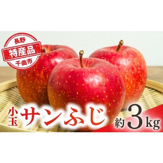 ふるさと納税 りんご 長野県 千曲市 2026年先行予約 りんご 小玉サンふじ 約3kg | 信州りんご 長野りんご リンゴ 林檎 さんふじ サンフジ 千曲市 長野県産 信…