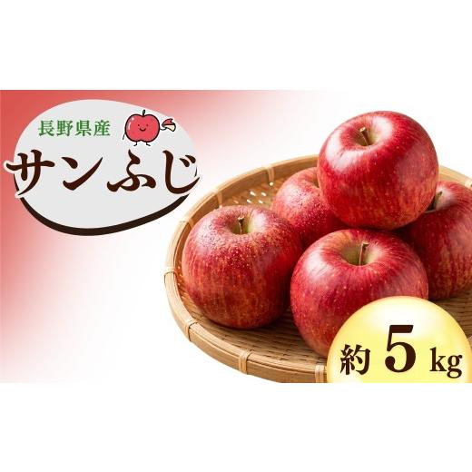 ふるさと納税 りんご 長野県 千曲市 2026年先行予約 千曲市産 サンふじ りんご 約5kg | 林檎 リンゴ アップル 果物 くだもの フルーツ 5キロ お取り寄せ 産地…