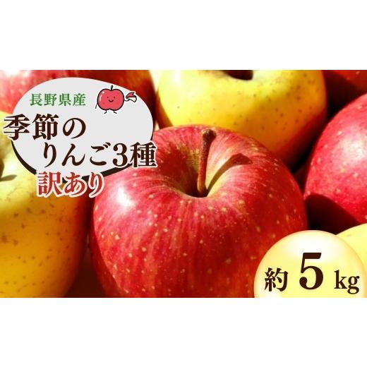 ふるさと納税 りんご 長野県 千曲市 2026年先行予約 千曲市産りんご 季節のりんご3種 約5kg 訳あり 家庭用 | 林檎 リンゴ アップル 果物 くだもの フルーツ 5…