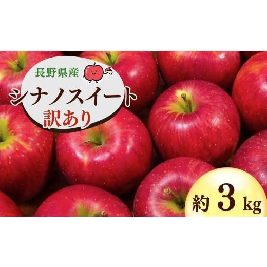 ふるさと納税 りんご 長野県 千曲市 2026年先行予約 千曲市産 シナノスイート りんご 約3kg 訳あり 家庭用 | 林檎 リンゴ アップル 果物 くだもの フルーツ 3…