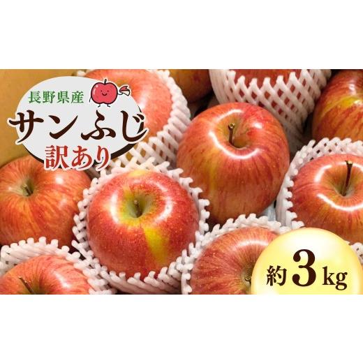 ふるさと納税 りんご 長野県 千曲市 2026年先行予約 千曲市産 サンふじ りんご 約3kg 訳あり 家庭用 | 林檎 リンゴ アップル 果物 くだもの フルーツ 3キロ …