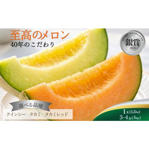 ふるさと納税 メロン メロン赤肉 栃木県 真岡市 タカミ 1玉(約1.5kg) | メロン 完熟 果物 フルーツ ギフト デザート 栃木県 真岡市 送料無料 タカミ | 1玉(約1…
