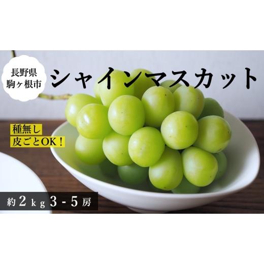 ふるさと納税 果物類 ぶどう 長野県 駒ヶ根市 2026年産予約 シャインマスカット 約2kg(3〜5房)|農園直送|2026年9月中旬より発送予定 ぶどう 種なし 皮ご…