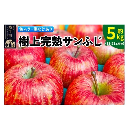 ふるさと納税 りんご 秋田県 横手市 先行受付 12月上旬より発送 色ムラ・キズ等あり 樹上完熟サンフジ 約5kg(13〜23玉前後) サンふじ サンフジ 林檎 リンゴ…