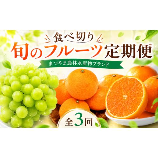 ふるさと納税 果物の詰合せ 愛媛県 松山市 全3回 食べきり 旬のフルーツ定期便 まつやま農林水産物ブランド | 紅まどんな シャインマスカット せとか まどん…