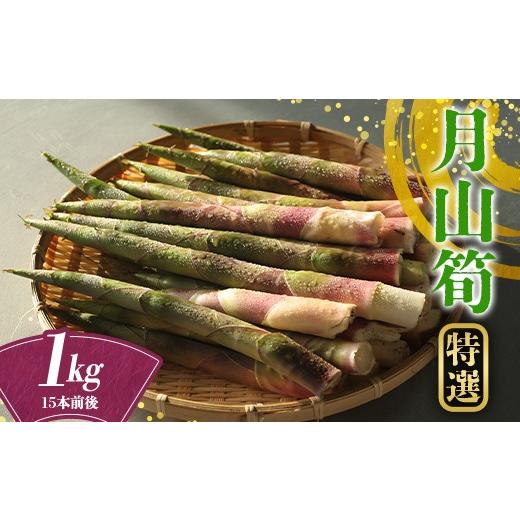 ふるさと納税 野菜類 山形県 西川町 贈答用 山形県産 天然 月山筍 1kg(15本前後) 特選 2026年5月下旬から順次発送 山菜 さんさい 筍 たけのこ 細筍 野菜 贈答 …