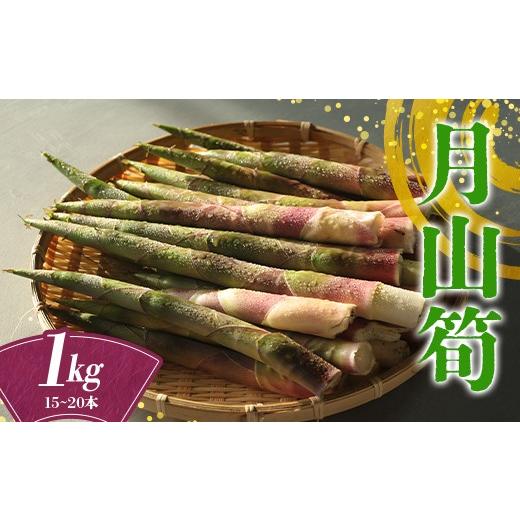 ふるさと納税 野菜類 山形県 西川町 山形県産 天然 月山筍 1kg(15~20本) 2026年5月下旬から順次発送 山菜 さんさい 筍 たけのこ 細筍 野菜 贈答 贈り物 ギフト…