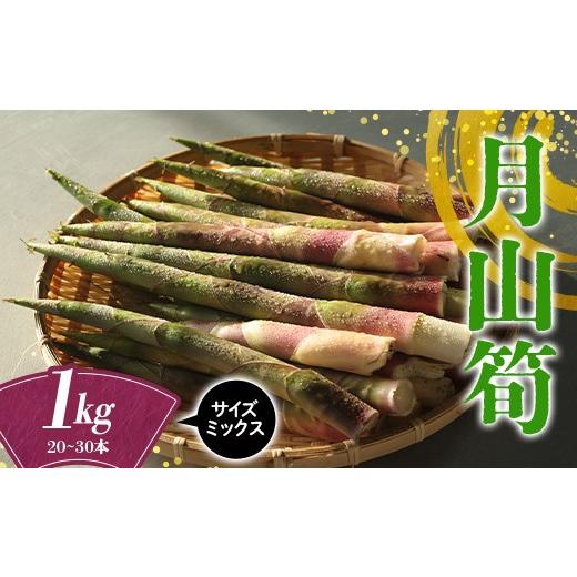 ふるさと納税 野菜類 山形県 西川町 山形県産 天然 月山筍 サイズミックス 1kg(20~30本) 2026年5月下旬から順次発送 山菜 さんさい 筍 たけのこ 細筍 野菜 自…