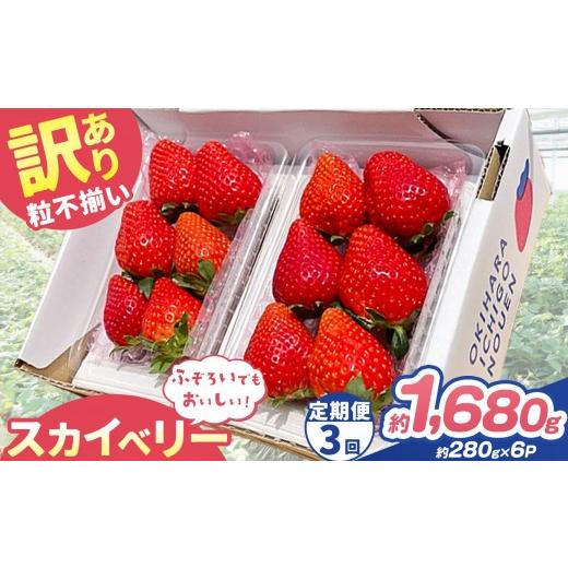 ふるさと納税 いちご 栃木県 矢板市 定期便3回 訳あり 粒不揃い スカイベリー 1,680g (280g×6P) | 栃木県 矢板市 澳原いちご農園 定期便3回 280g×6P | 6300…