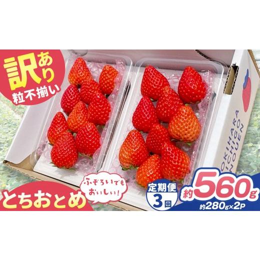 ふるさと納税 いちご 栃木県 矢板市 定期便3回 訳あり 粒不揃い とちおとめ 560g (280g×2P) | 栃木県 矢板市 澳原いちご農園 定期便3回 280g×2P | 21000円