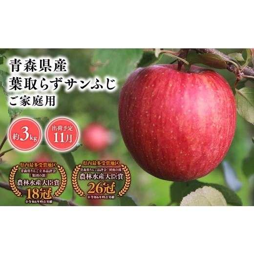 ふるさと納税 りんご 青森県 平川市 2026年11月発送 訳あり 家庭用葉とらずサンふじ3kg 青森県 平川市 そと川りんご園 11月発送