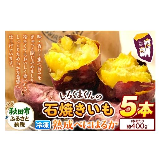 ふるさと納税 和菓子 秋田県 秋田市 しろくまくんの冷凍石焼きいも(熟成べにはるか) 秋田市産 素材の甘さ 贈り物 スイーツ さつまいも サツマイモ さつま芋 …