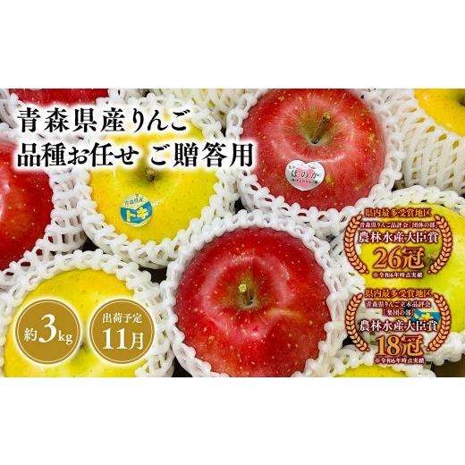 ふるさと納税 りんご 青森県 平川市 2026年産品種お任せ 贈答用 旬のりんご詰め合わせ3kg 青森県 平川市 そと川りんご園 11月発送