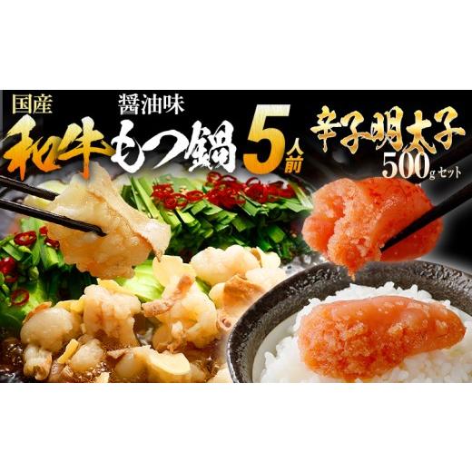 ふるさと納税 モツ鍋 福岡県 田川市 もつ鍋 辛子明太子 訳あり 5人前 500g セット 無着色辛子明太子 福岡 九州 国産牛 ホルモン 醤油味 切子 切れ子 バラコ 国…