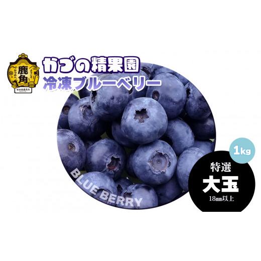 ふるさと納税 果物類 秋田県 鹿角市 ブルーベリー(冷凍)特選 大玉 1kg 単品 かづの精果園 ●2026年6月中旬発送 冷凍 栄養 効果 アントシアニン サプリ 藍苺 …