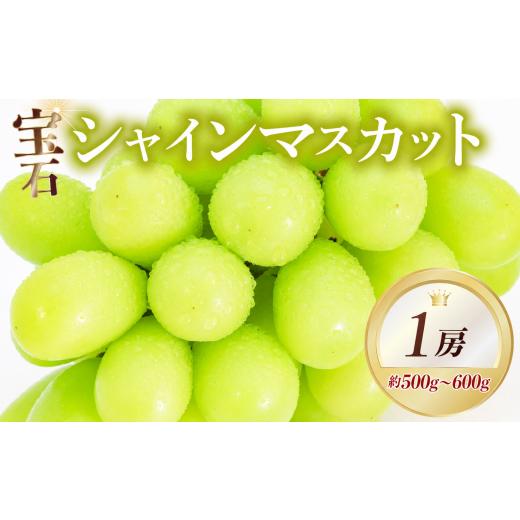 ふるさと納税 ぶどう マスカット 大阪府 松原市 先行予約 シャインマスカット 約500~600g 1房 8月中旬からお届け マスカット シャインマスカット ぶどう ブド…