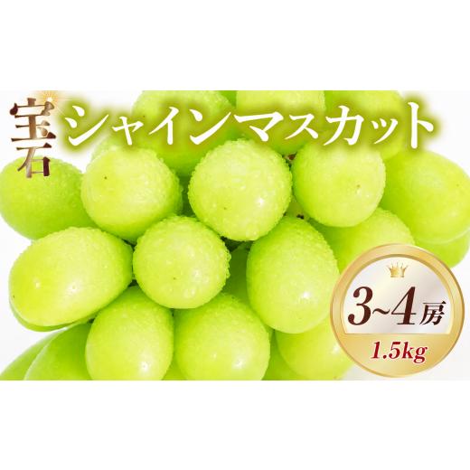 ふるさと納税 ぶどう マスカット 大阪府 松原市 先行予約 シャインマスカット 約1.5kg 3~4房 8月中旬からお届け マスカット シャインマスカット ぶどう ブド…