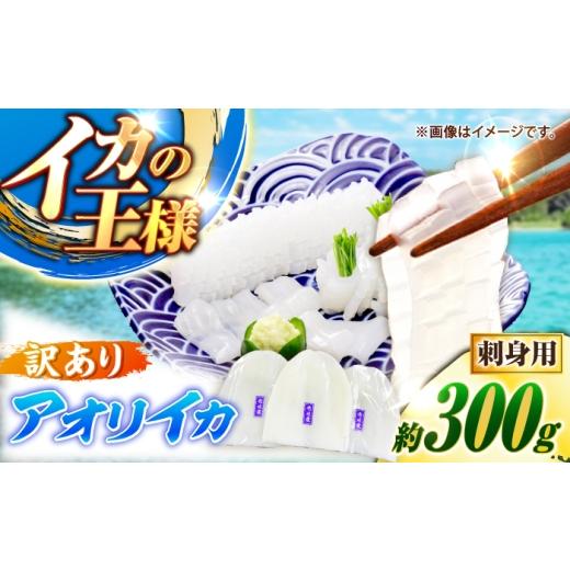 ふるさと納税 イカ 長崎県 壱岐市 訳あり アオリイカ 刺身用 300g 水烏賊 [壱岐市] 一支國屋 海鮮 烏賊 イカ いか 刺身 刺し身 お刺身 アオリイカ 冷凍配…