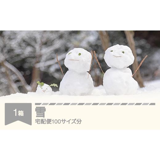 ふるさと納税 地域のお礼の品 山形県 村山市 天然の雪 100サイズ分 催物 山形県村山市 rk-snxxx100