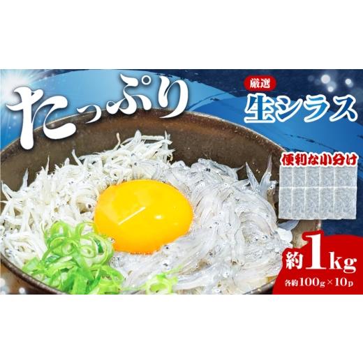 ふるさと納税 魚貝類 しらす 高知県 高知市 大容量 厳選 高知県産生シラス (約1kg) / しらす シラス 高知 魚 小魚 魚介類 海鮮 冷凍 真空 個包装 アジアマ…