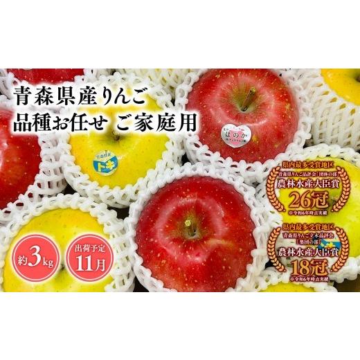 ふるさと納税 りんご 青森県 平川市 2026年11月発送 品種お任せ 訳あり 家庭用 旬のりんご詰め合わせ3kg 青森県 平川市 そと川りんご園 11月発送