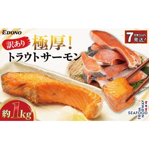 ふるさと納税 魚貝類 のどぐろ 千葉県 銚子市 スピード配送 訳あり 極厚 トラウトサーモン 約 1kg 厚切り 厚切 トラウト サーモン 塩さけ 塩鮭 銀鮭 さけ 鮭 …