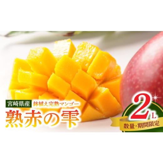 ふるさと納税 マンゴー 宮崎県 宮崎市 [2026年発送先行予約] 数量・期間限定 宮崎県産鉢植え完熟マンゴー 熟赤の雫(あかのしずく) 化粧箱入り2L×2玉_M168-0…