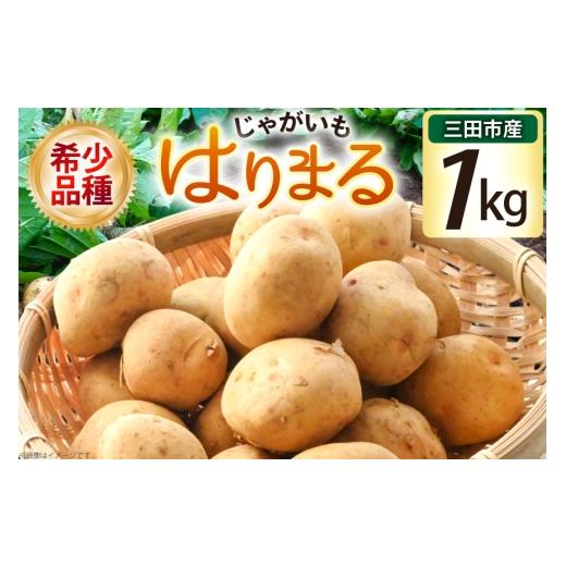 ふるさと納税 野菜類 じゃがいも 兵庫県 三田市 じゃがいも はりまる 1kg 期間限定発送 SSSファーム 兵庫県 三田市 3d28bed520003 ジャガイモ 芋 いも じゃが…