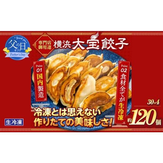ふるさと納税 惣菜・レトルト 冷凍 神奈川県 横浜市 父の日当日にお届け 全て国産食材、銘柄豚使用 肉汁あふれる 横浜大宝餃子 もちもち国産ジャンボ大宝餃子…
